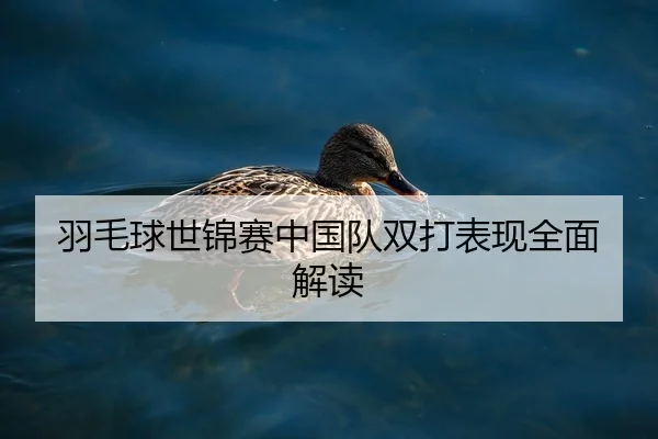 羽毛球世锦赛中国队双打表现全面解读
