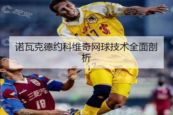 诺瓦克德约科维奇网球技术全面剖析