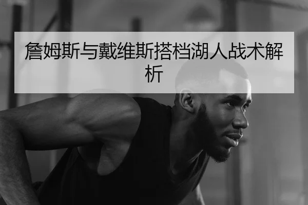 詹姆斯与戴维斯搭档湖人战术解析